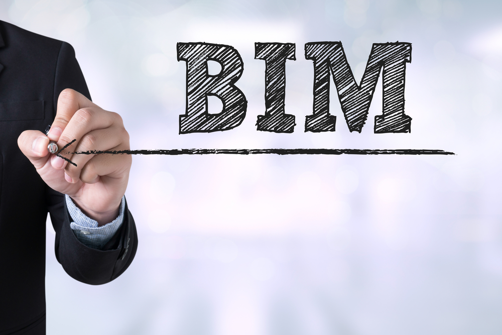 Quali funzioni svolgono il BIM Manager e il BIM Coordinator